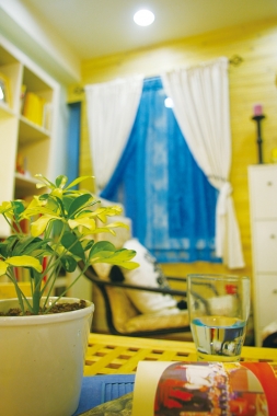 風水、招財、植物