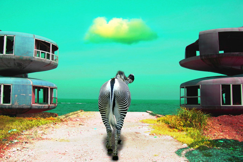 MOT ARTS 2009開春來一連推出2檔「城市樂園」系列展覽