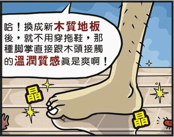 在不同的風格、不同的氣候下，選擇地板的要件有哪些，