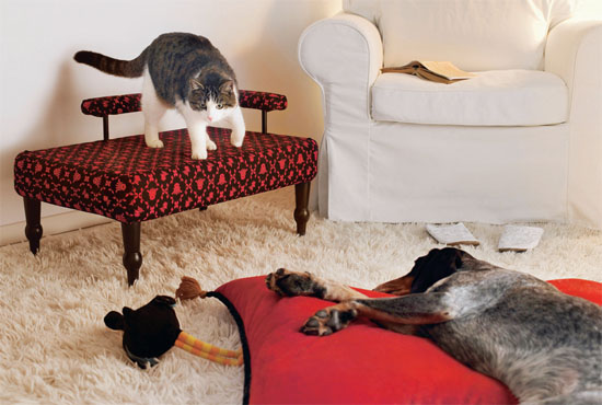 設計家,searchome,