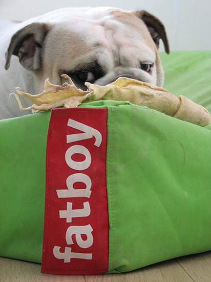 設計家,searchome,