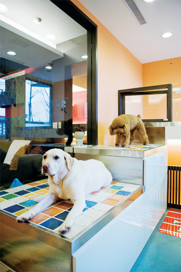 設計家,searchome,