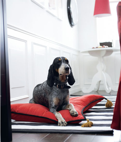 設計家,searchome,