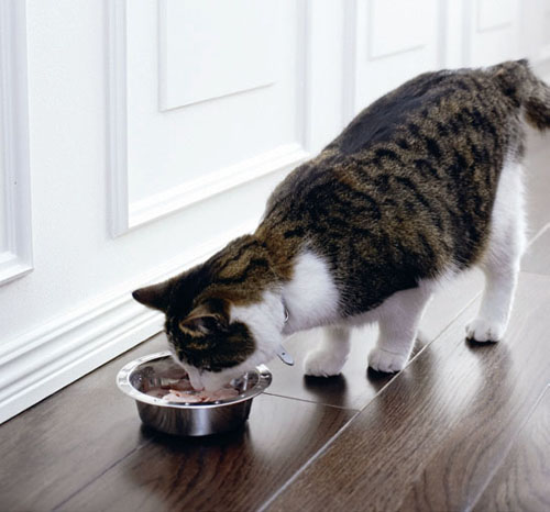 設計家,searchome,