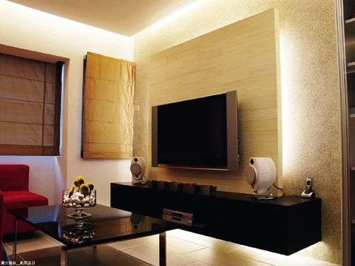 客廳嚴重壁癌跟白蟻跑出來處理大概得花多少錢？小偷貓