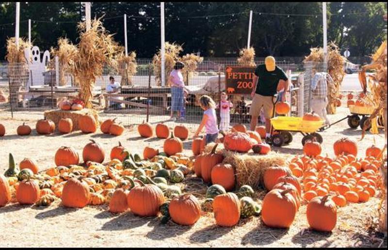 設計家,searchome,