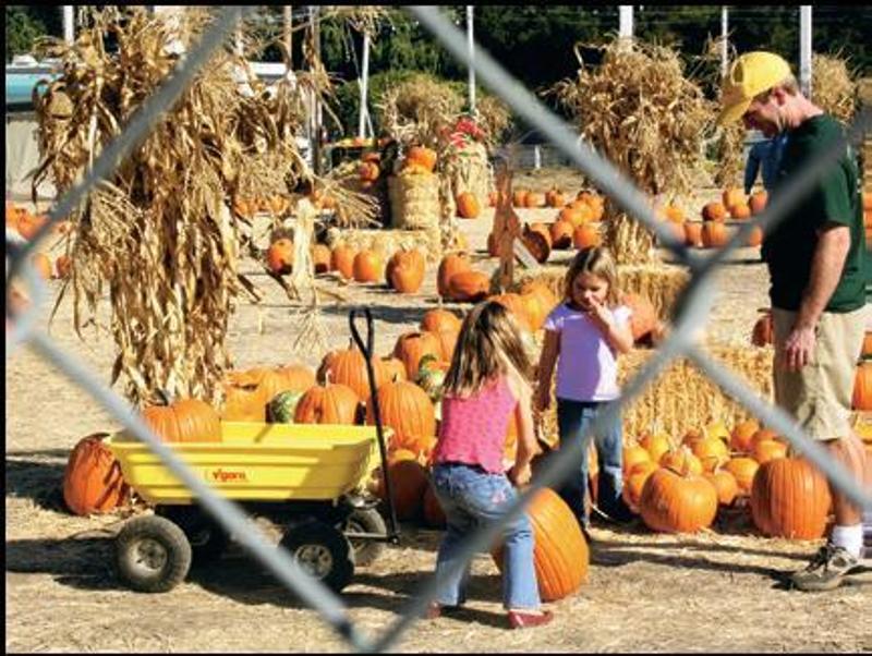 設計家,searchome,