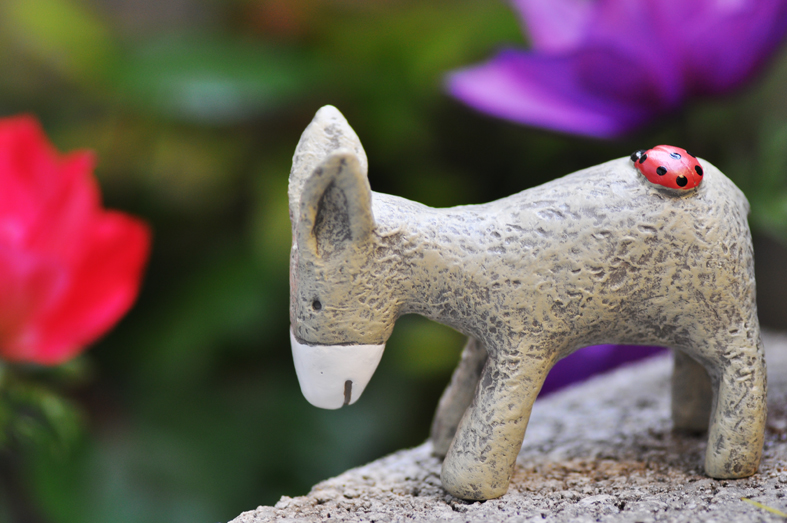 設計家,searchome,