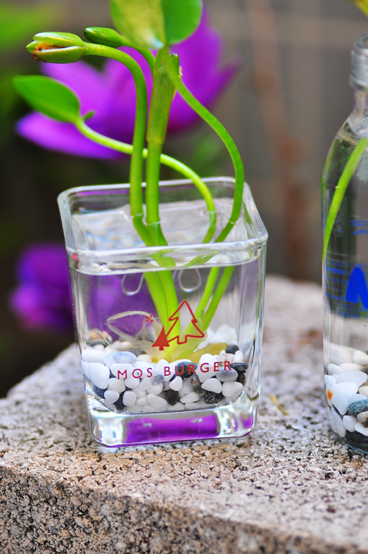 設計家,searchome,