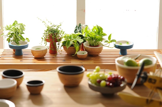 設計家,searchome,