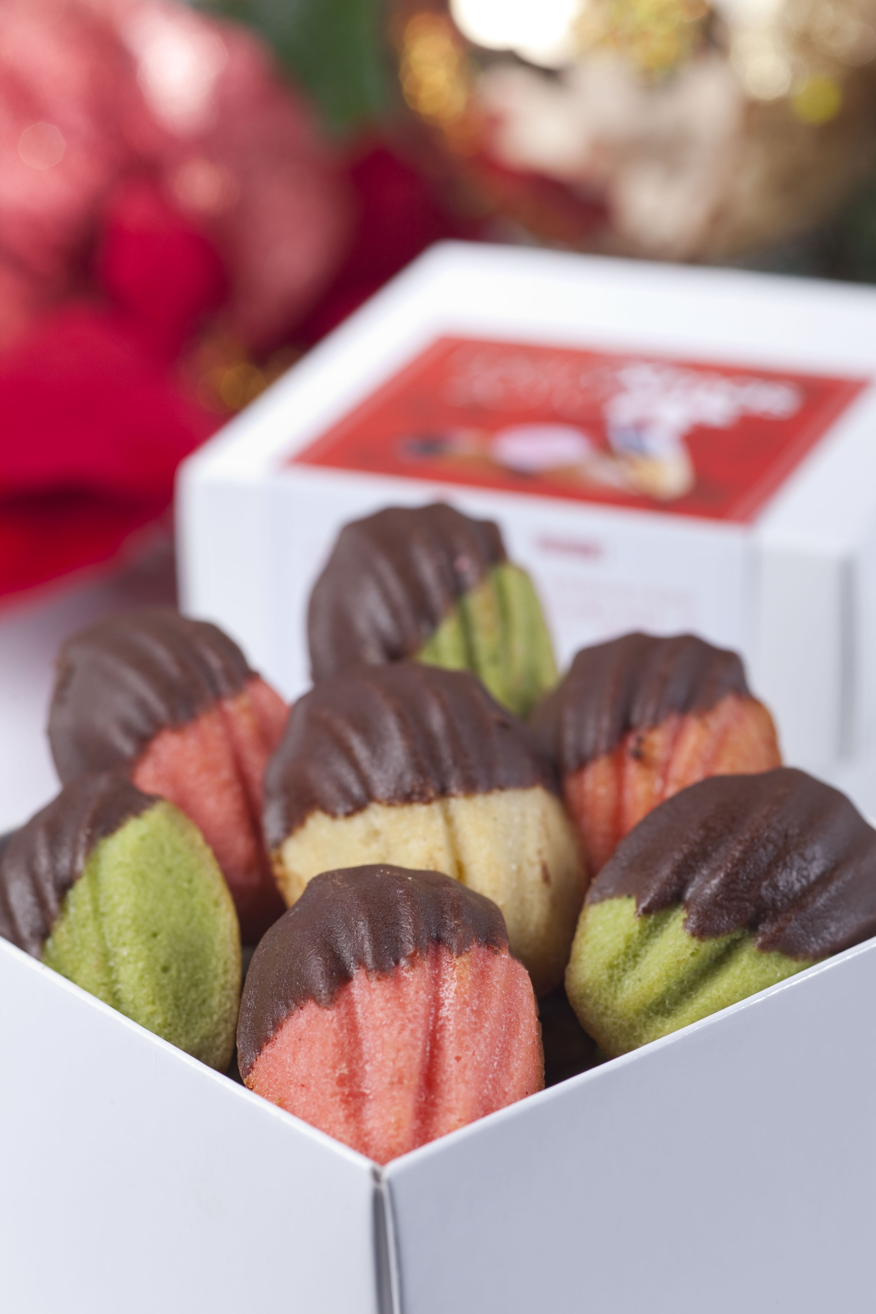 設計家,searchome,