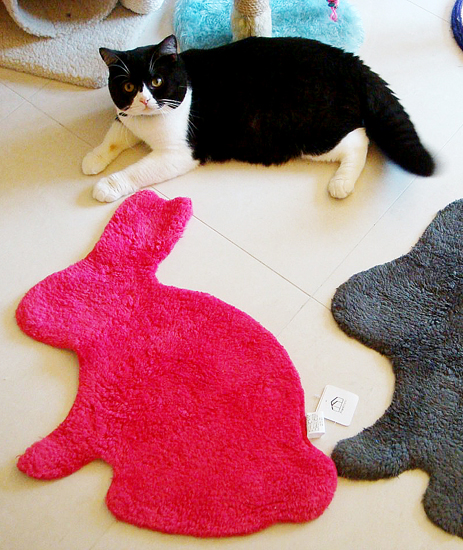 設計家,searchome,