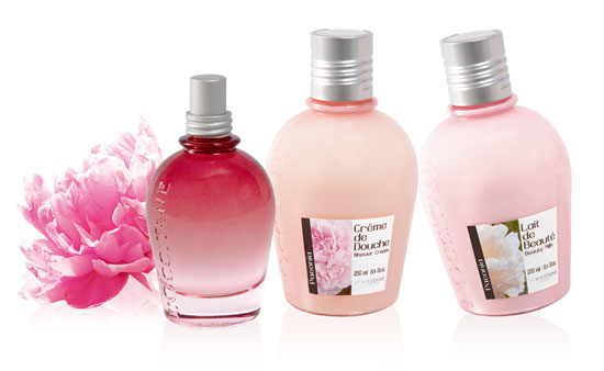 設計家,searchome,