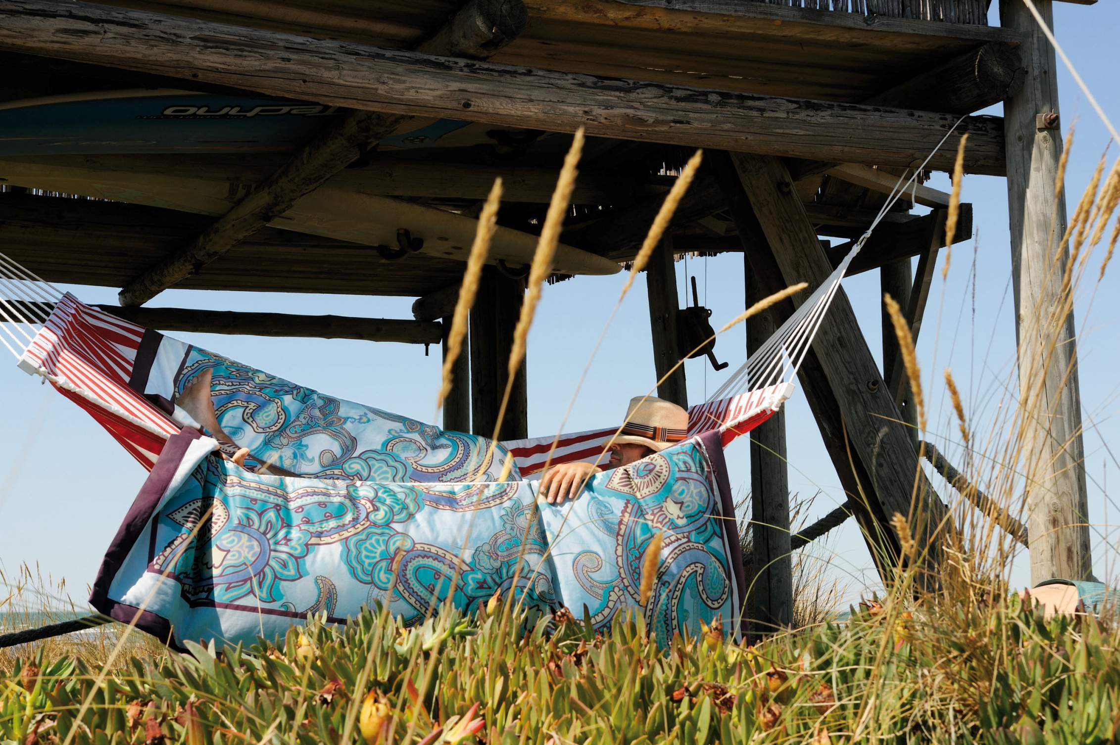 設計家,searchome,