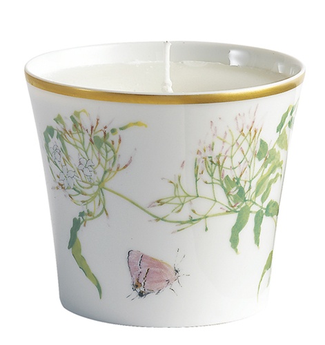 設計家,searchome,