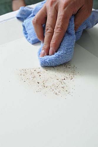 設計家,searchome,