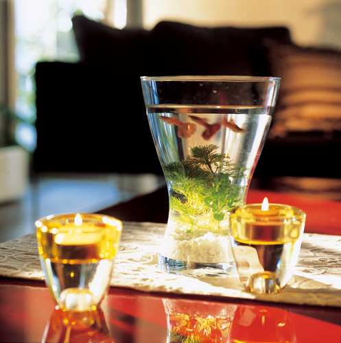 除了考量不同座向住宅的個別流年財位，五行中分別屬水