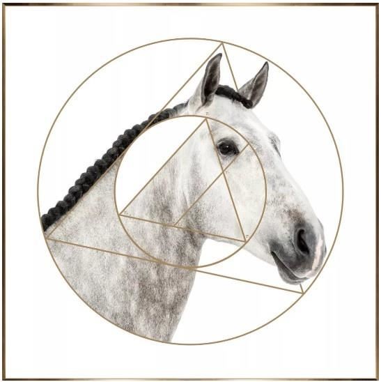 世博展览馆 H1D01 / 颜料块家居饰品