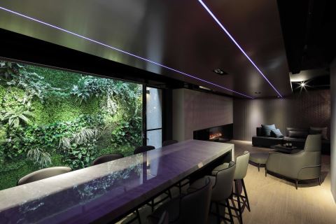 造一片绿植墙佐蓝光吧台 给好客主人的轻奢系别墅 联宽室内装修有限公司 王毓婷