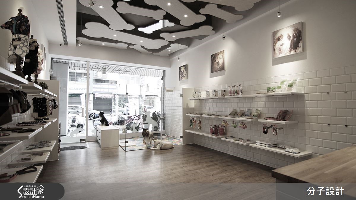 让狗狗开心玩，老屋变身可爱宠物城堡